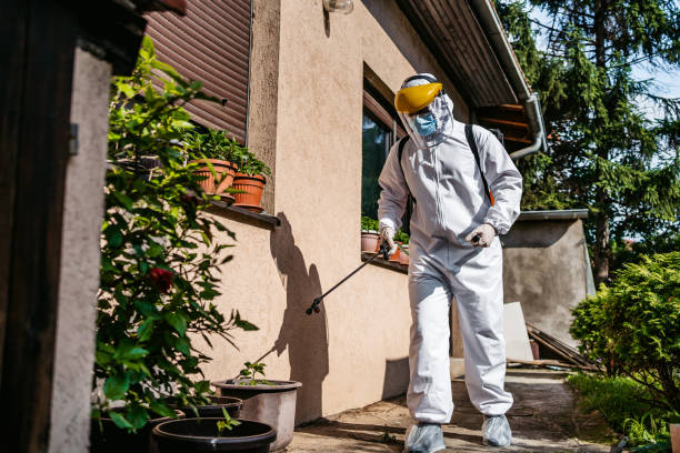 Best Pest Prevention Services  in Mandeville, LA