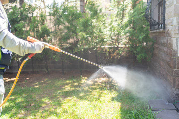 Professional Pest Control in Mandeville, LA