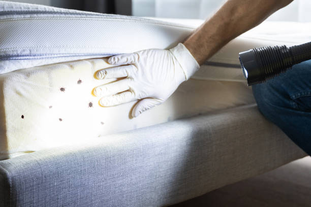 Best Pest Control Near Me  in Mandeville, LA