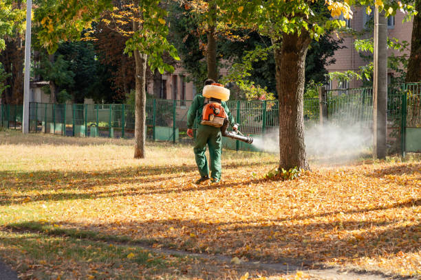 Reliable Mandeville, LA Pest Control Solutions
