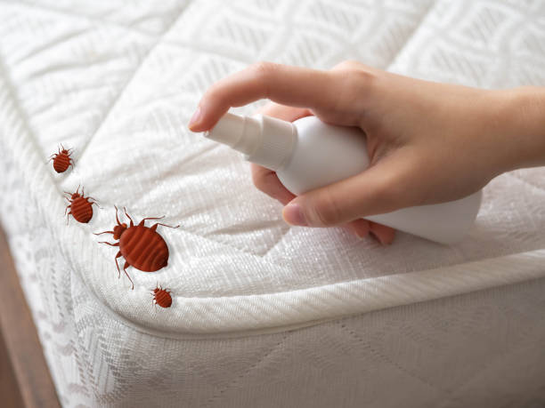 Best Pest Control for Businesses  in Mandeville, LA